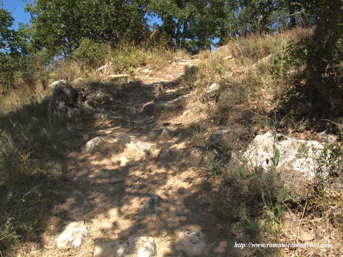 ESCALÓN EN EL CAMINO